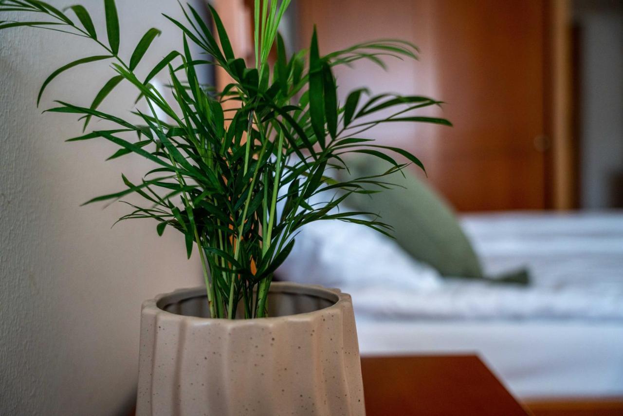 Lagoja B&B Trzin Dış mekan fotoğraf